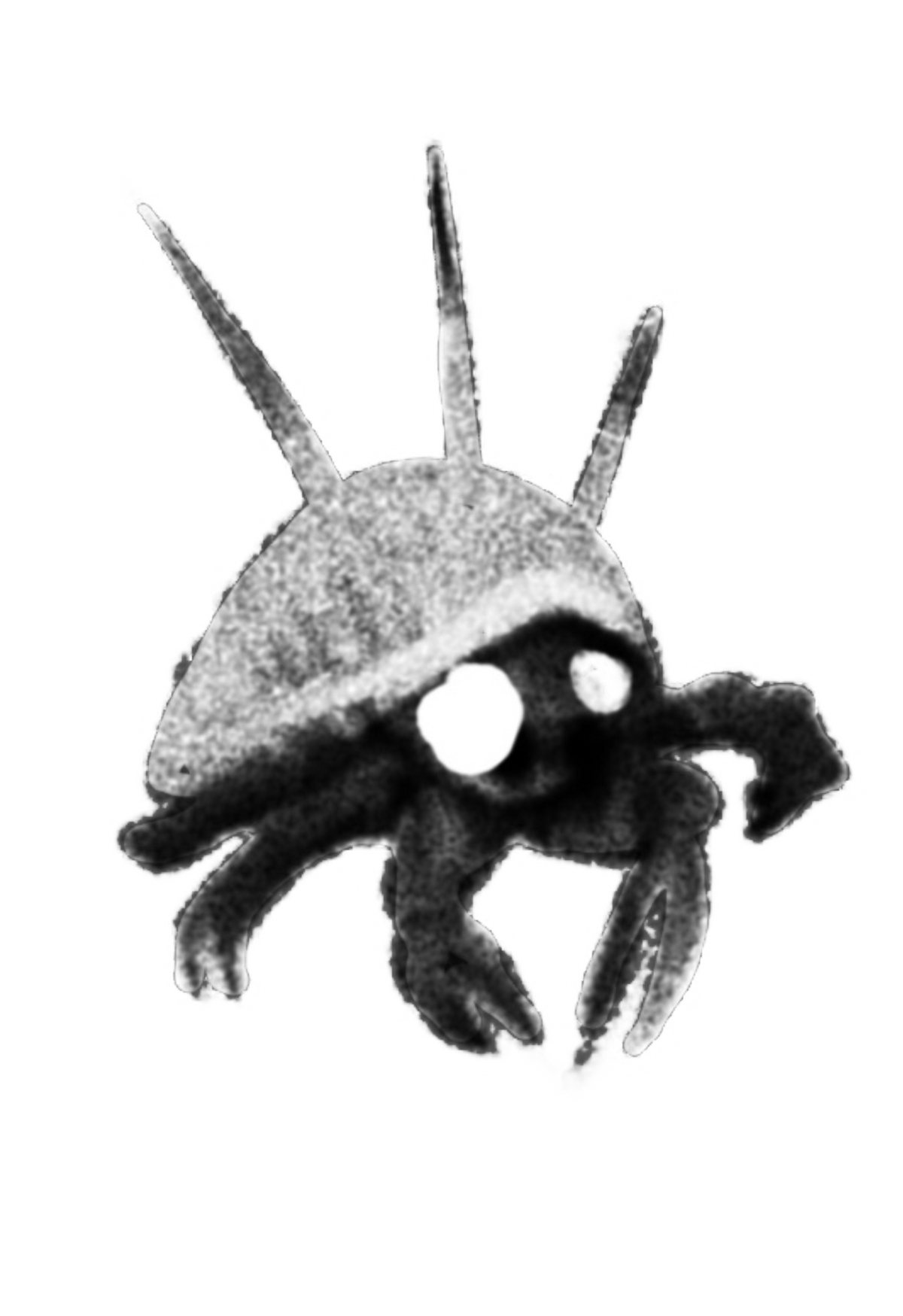 Flash 64